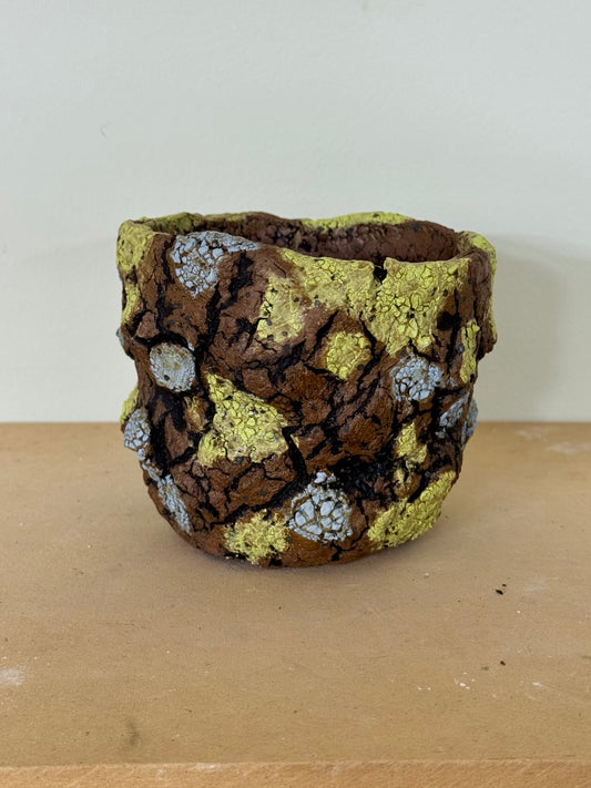 Lichen - 4.5 x 3.75”