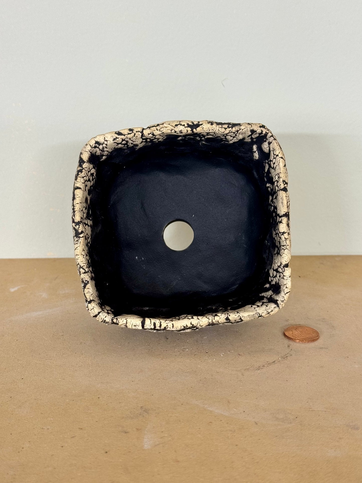 Death Valley Bonsai - 4.25 x 2.25”