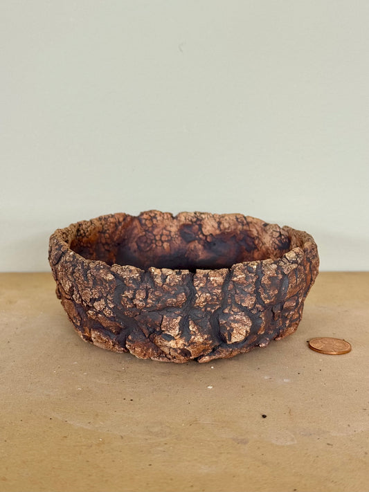 Astroid - 4.75 x 1.75”