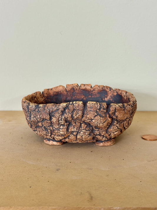 Astroid Bonsai - 5 x 4.5 x 1.5”