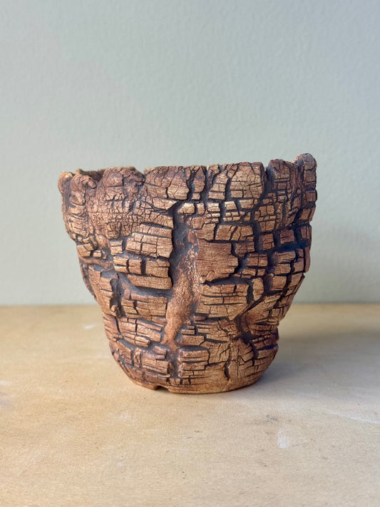 Astroid Bricks - 4 x 3.75 x 3.25”