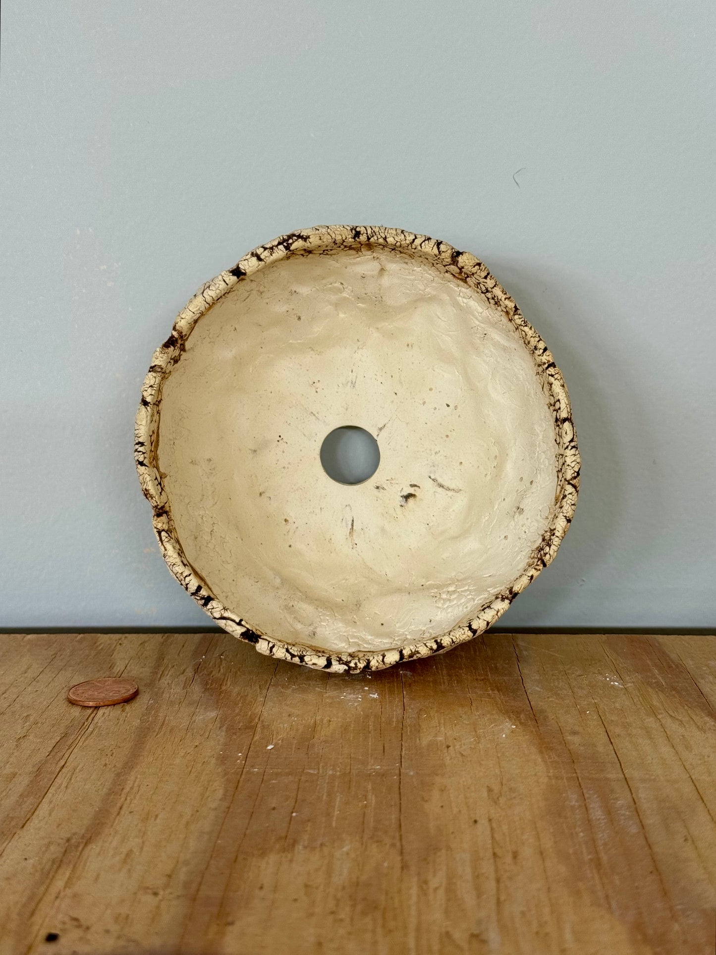 Sonoran Roots - 4.75 x 2.25”