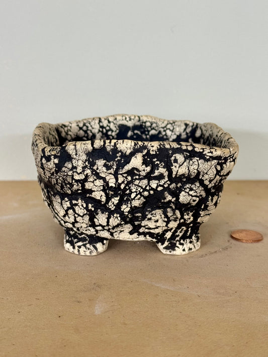 Death Valley Bonsai - 4.25 x 2.25”