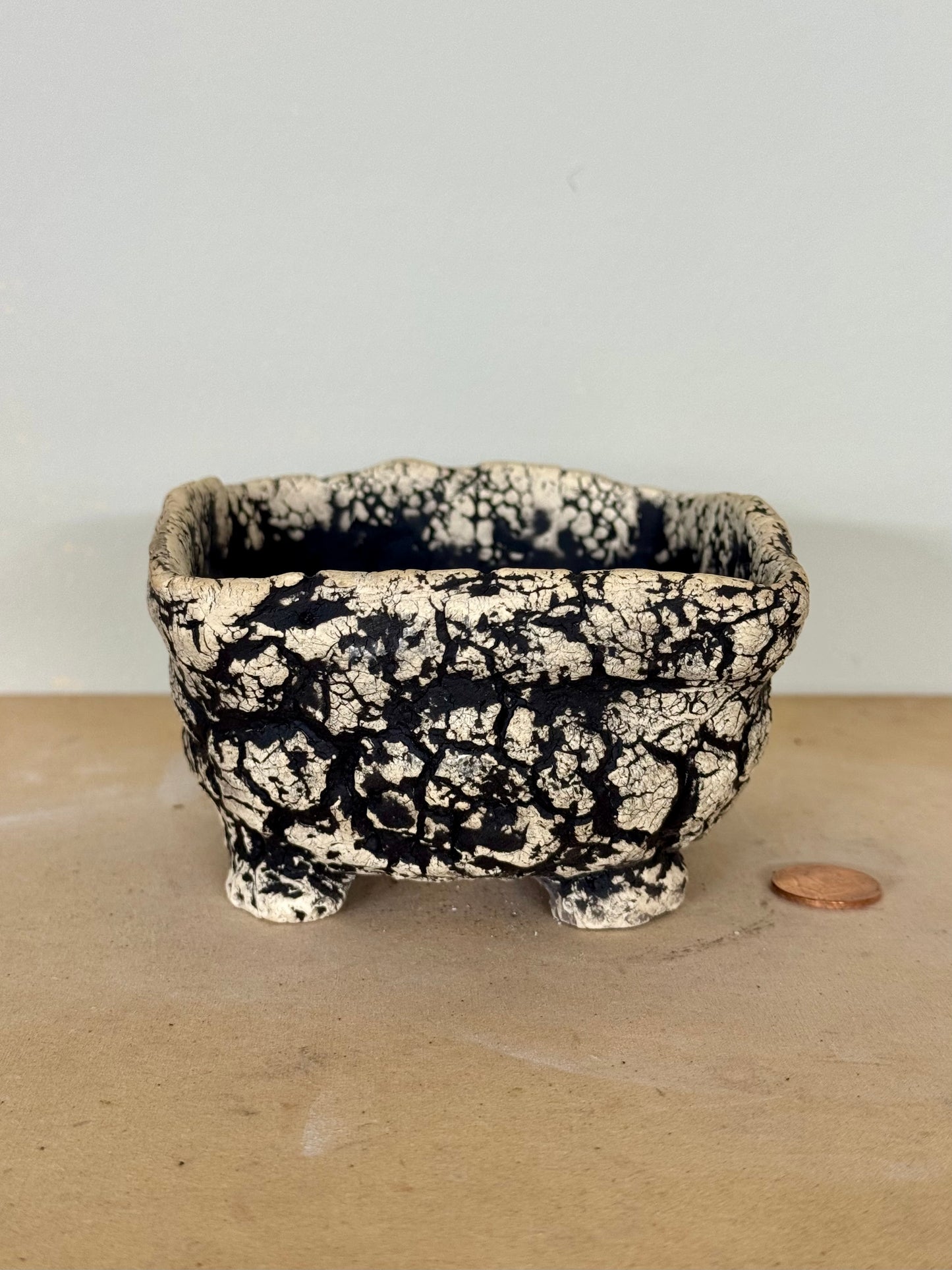 Death Valley Bonsai - 4.25 x 2.25”