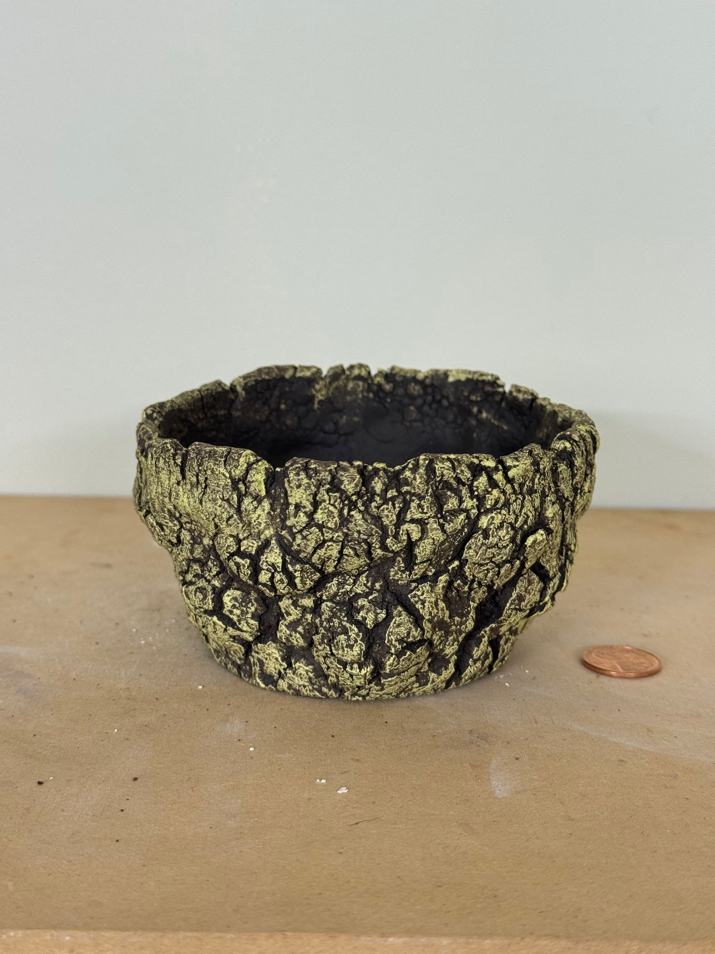 Lichen - 4 x 2.25”