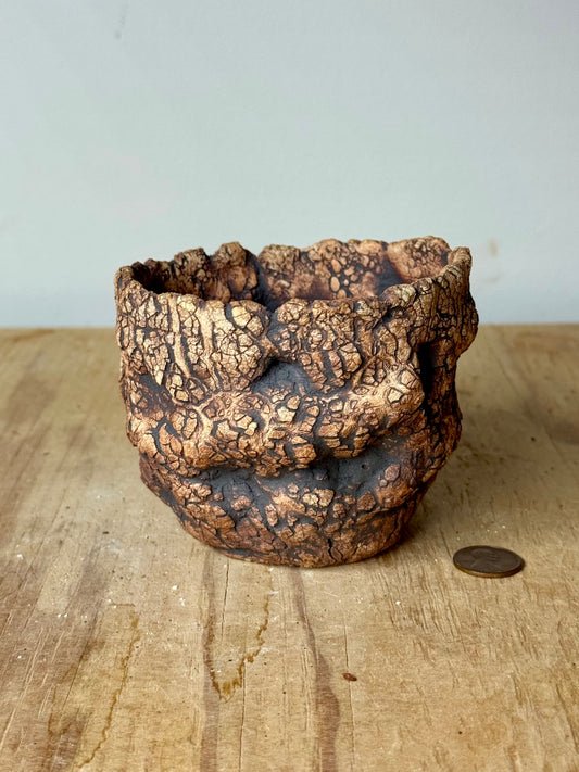 Astroid - 3.75 x 3”