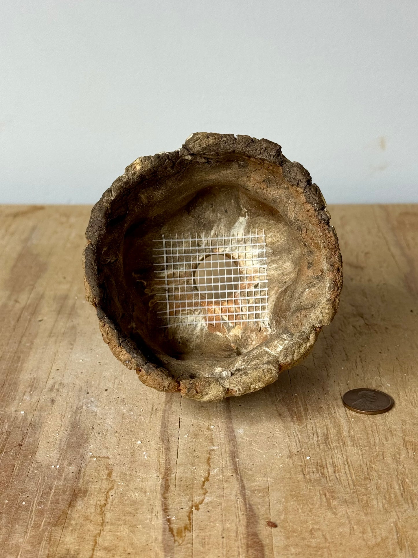 Southwest - 3.5 x 2.5”