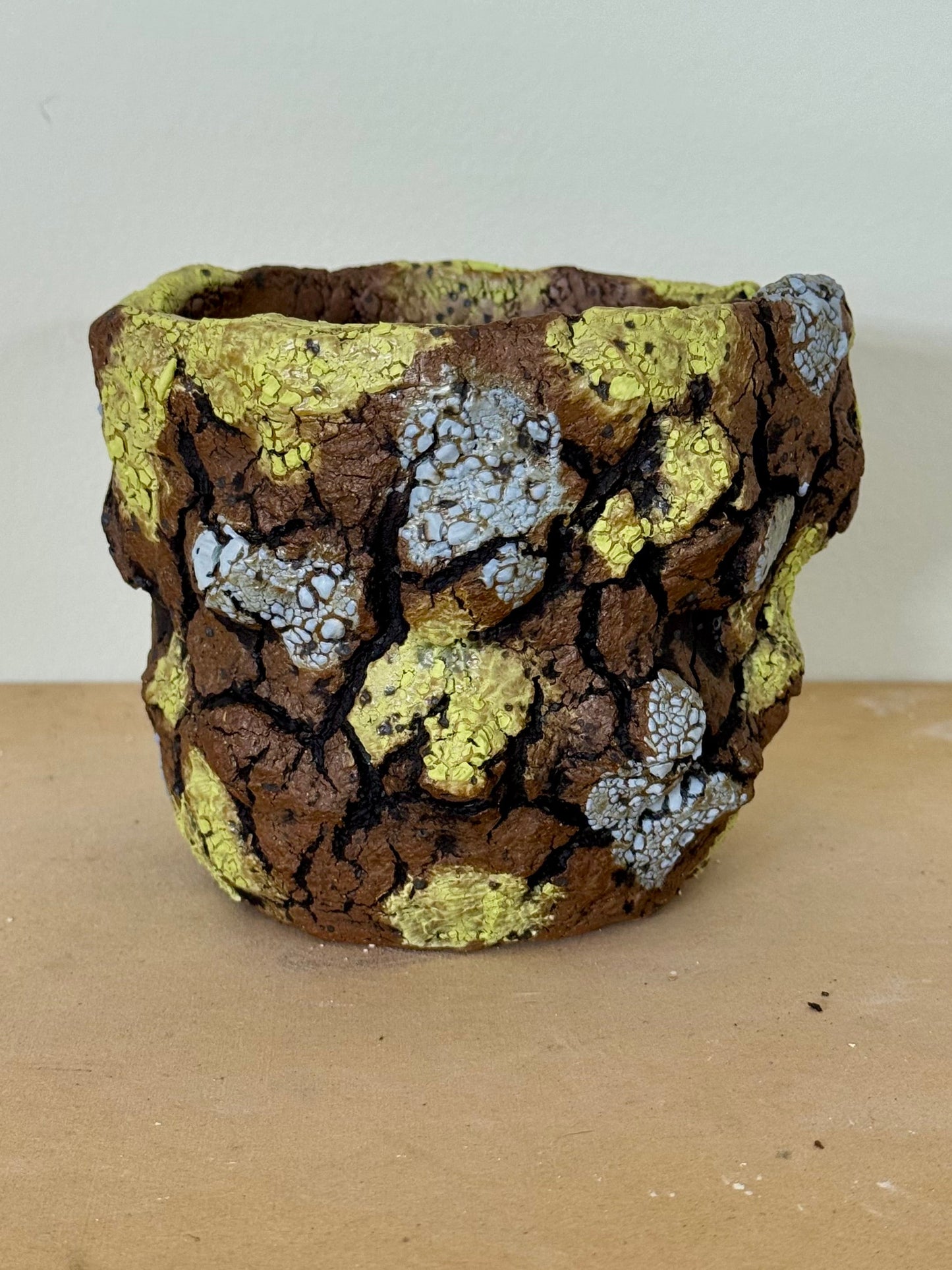 Lichen - 4.5 x 3.75”
