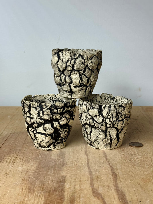 Mini trio, Death Valley - approx 2.5 x 2.5”