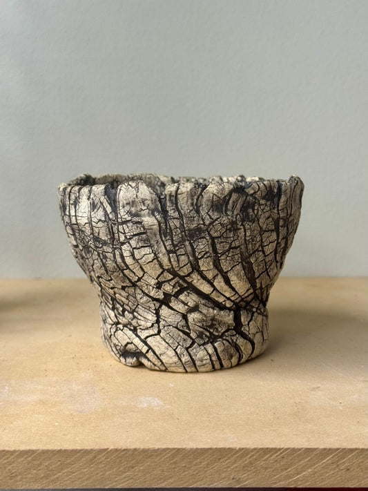 Death Valley Roots - 4 x 3”