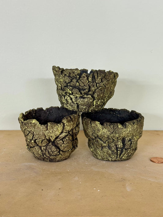 Mini trio, Lichen - approx 3 x 2”