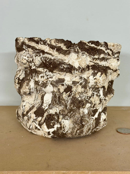 Limestone - 6 x 5”