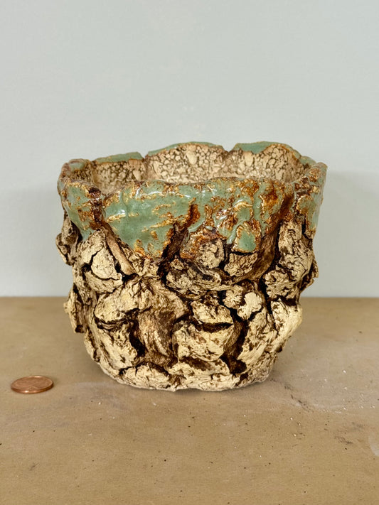 Sonoran w/ Shino rim - 4.75 x 3.75”