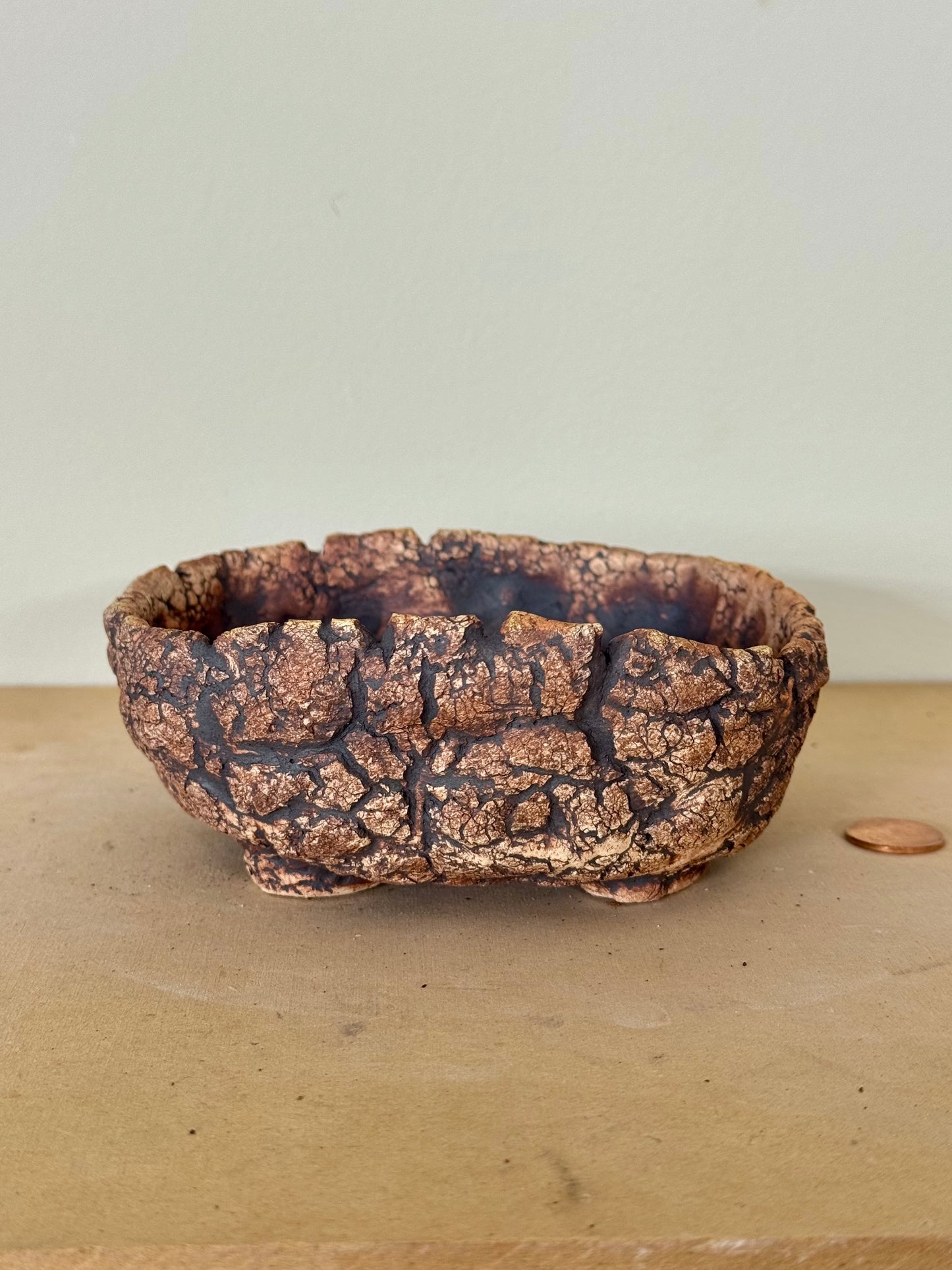 Astroid Bonsai - 5 x 4.5 x 1.5”