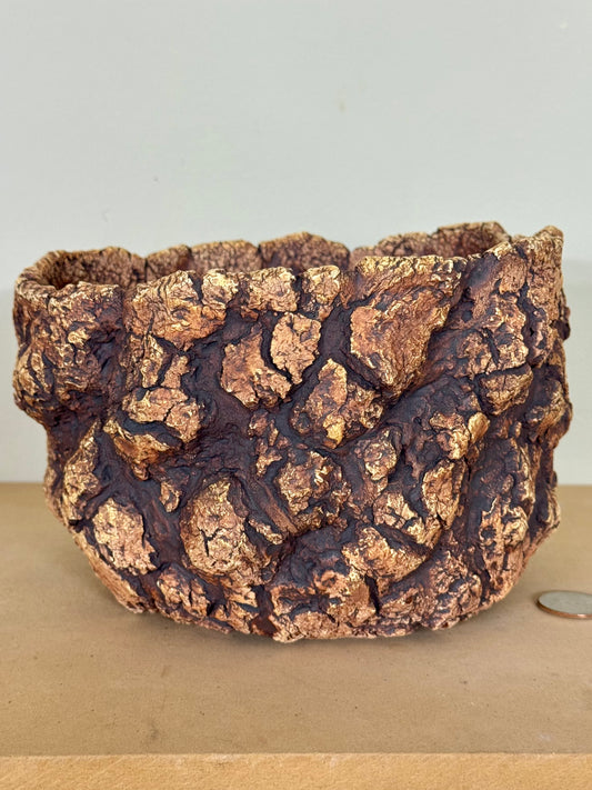Astroid - 7 x 4.25”